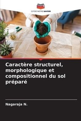 Caractère structurel, morphologique et compositionnel du sol préparé