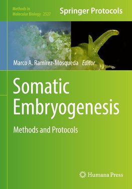 Somatic Embryogenesis