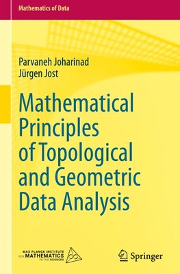 Mathematical Principles of Topological and Geometric Data Analysis