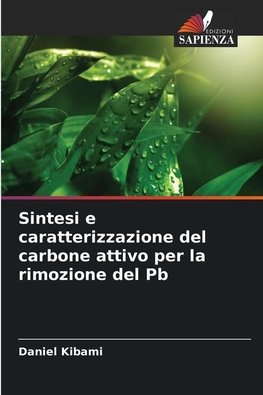 Sintesi e caratterizzazione del carbone attivo per la rimozione del Pb