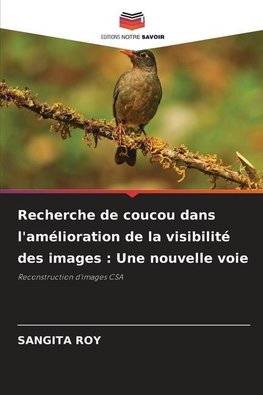 Recherche de coucou dans l'amélioration de la visibilité des images : Une nouvelle voie