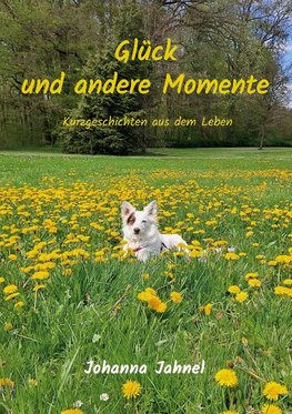 Glück und andere Momente