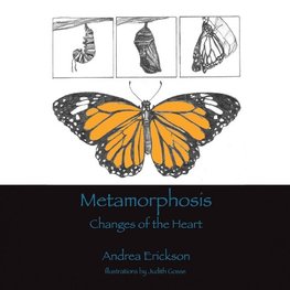 Metamorphosis