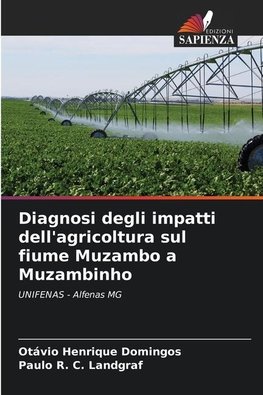 Diagnosi degli impatti dell'agricoltura sul fiume Muzambo a Muzambinho