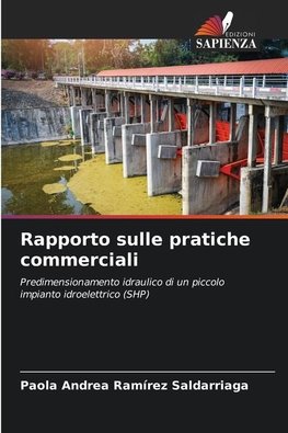 Rapporto sulle pratiche commerciali