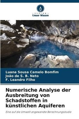 Numerische Analyse der Ausbreitung von Schadstoffen in künstlichen Aquiferen