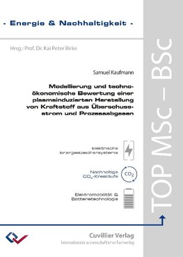 Modellierung und techno-ökonomische Bewertung einer plasmainduzierten Herstellung von Kraftstoff aus Überschussstrom und Prozessabgasen