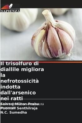 Il trisolfuro di diallile migliora la nefrotossicità indotta dall'arsenico nei ratti