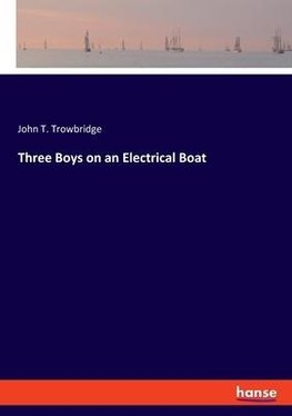 Three Boys on an Electrical Boat