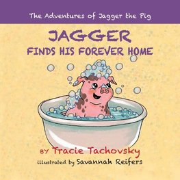 Jagger the Pig Finds His Forever Home