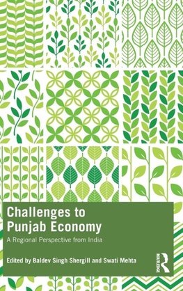 Challenges to Punjab Economy