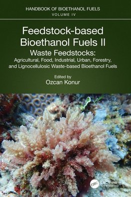 Feedstock-based Bioethanol Fuels. II. Waste Feedstocks