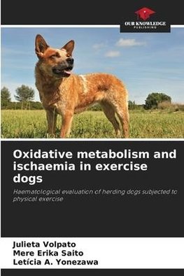 Oxidative metabolism and ischaemia in exercise dogs