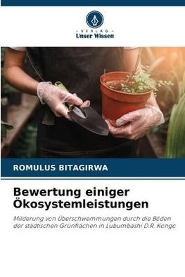 Bewertung einiger Ökosystemleistungen