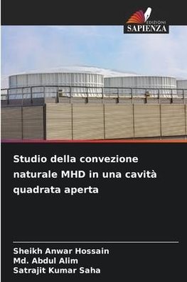 Studio della convezione naturale MHD in una cavità quadrata aperta