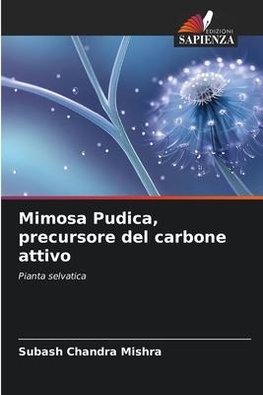 Mimosa Pudica, precursore del carbone attivo