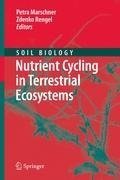 Nutrient Cycling in Terrestrial Ecosystems