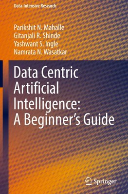 Data Centric Artificial Intelligence: A Beginner¿s Guide