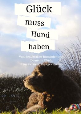 Glück muss Hund haben