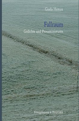 Fallraum