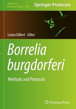 Borrelia burgdorferi