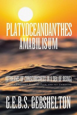 Platyoceandanthes amabilisum (Streams of Consciousness in a Sea of Being)