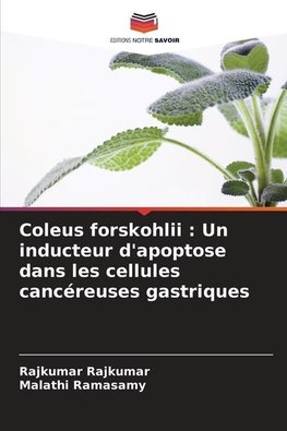 Coleus forskohlii : Un inducteur d'apoptose dans les cellules cancéreuses gastriques