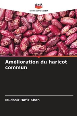 Amélioration du haricot commun