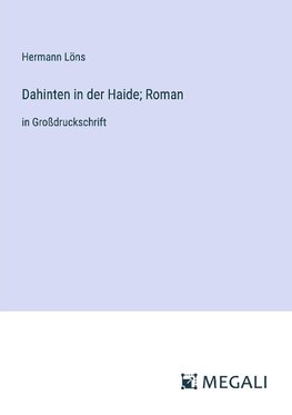 Dahinten in der Haide; Roman