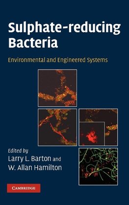 Sulphate-Reducing Bacteria