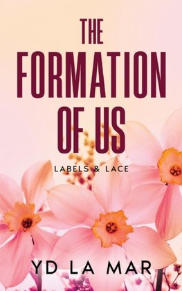 The Formation of Us