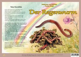 Natur-Kamishibai / Natur-Kamishibai - Der Regenwurm