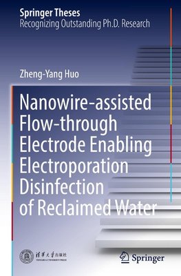 Nanowire-assisted Flow-through Electrode Enabling Electroporation Disinfection of Reclaimed Water