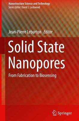 Solid State Nanopores