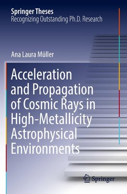 Acceleration and Propagation of Cosmic Rays in High-Metallicity Astrophysical Environments