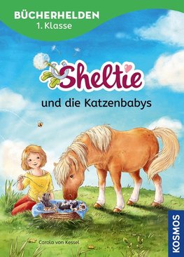 Sheltie, Bücherhelden 1. Klasse, Sheltie und die Katzenbabys