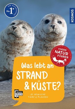 Was lebt an Strand und Küste? Kindernaturführer