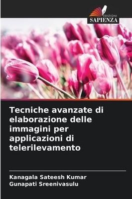 Tecniche avanzate di elaborazione delle immagini per applicazioni di telerilevamento