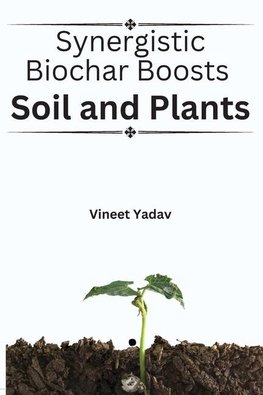 Synergistic Biochar Boosts Soil and Plants