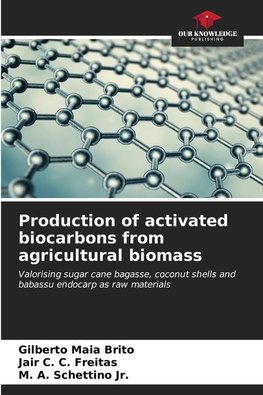 Production of activated biocarbons from agricultural biomass