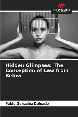 Hidden Glimpses: The Conception of Law from Below