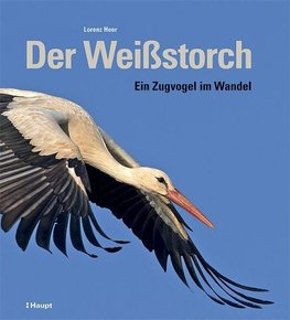 Der Weißstorch