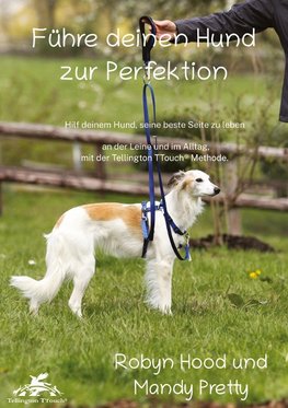 Führe deinen Hund zur Perfektion