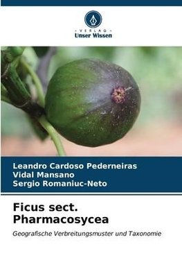 Ficus sect. Pharmacosycea