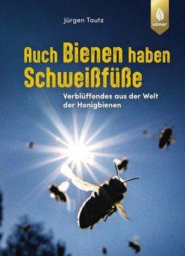 Auch Bienen haben Schweißfüße