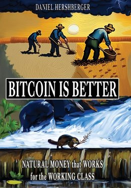 Bitcoin is Better