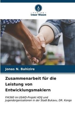 Zusammenarbeit für die Leistung von Entwicklungsmaklern