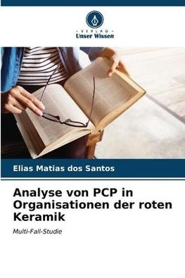 Analyse von PCP in Organisationen der roten Keramik