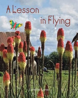 A Lesson in Flying