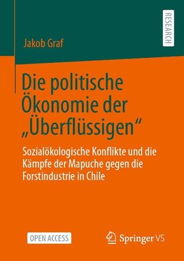 Die politische Ökonomie der ¿Überflüssigen¿